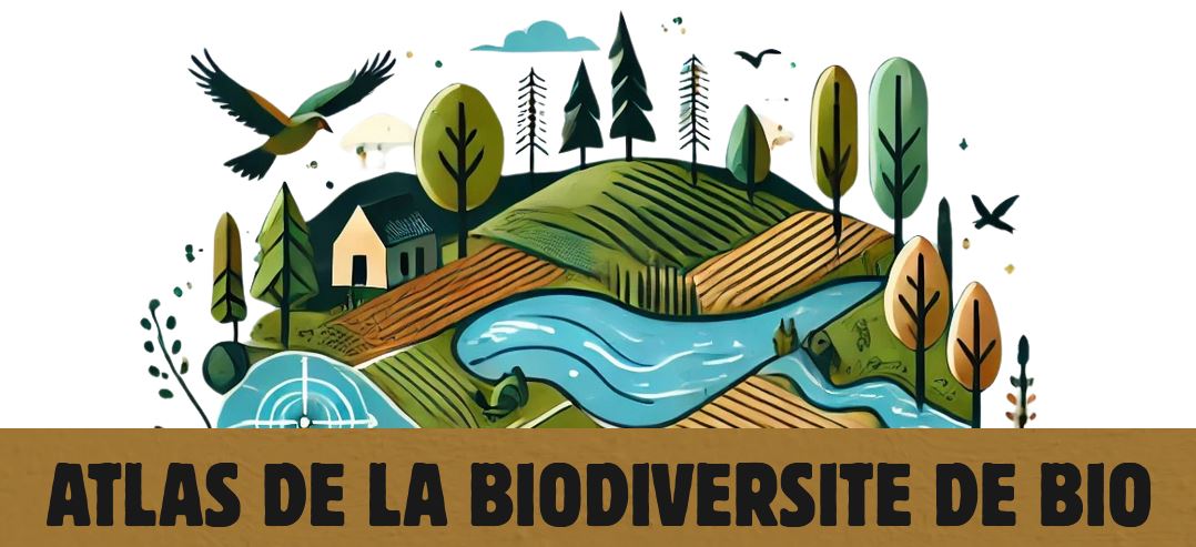 A la découverte des amphibiens et des mares de Bio